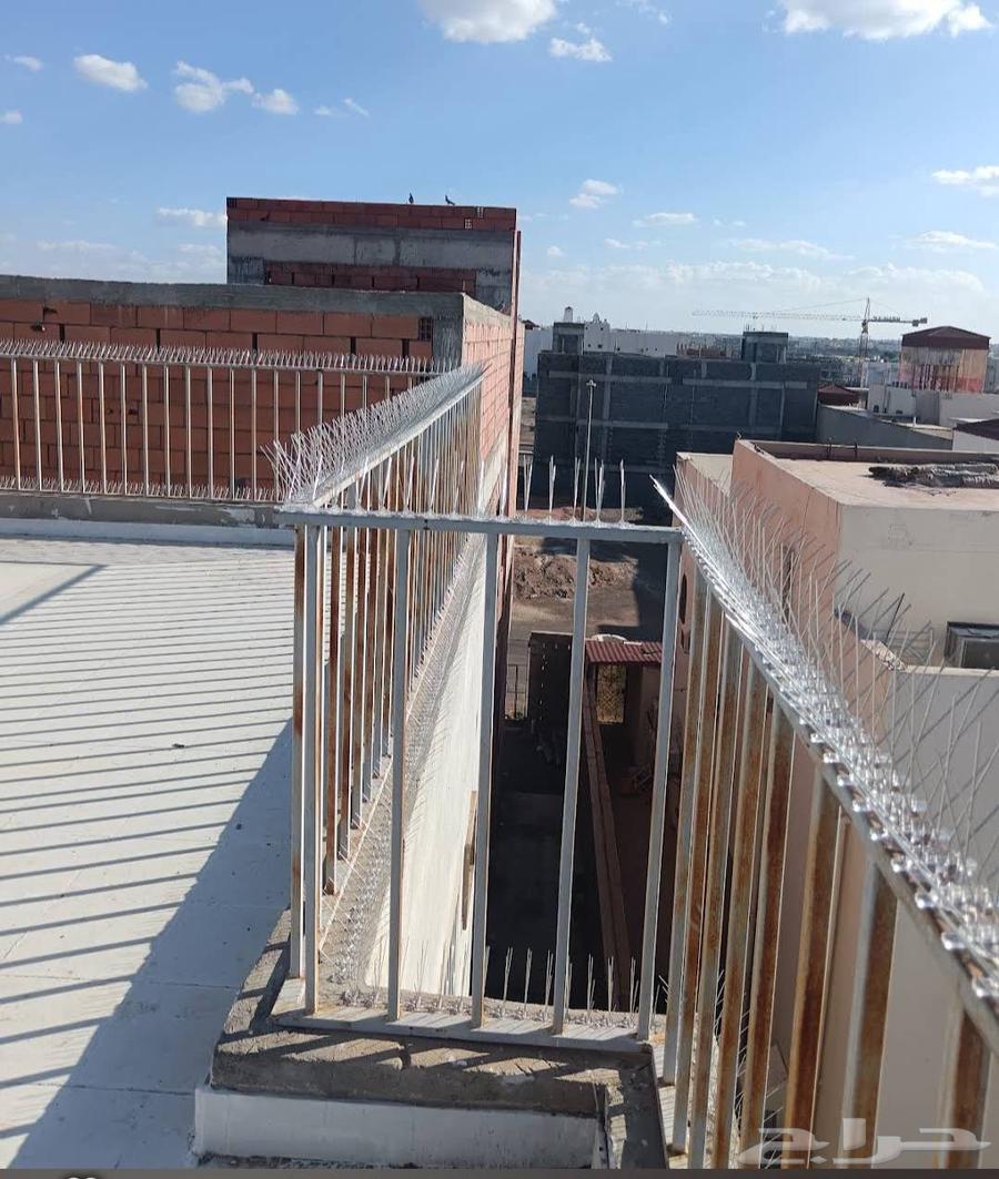 Pigeon repellent installation in Riyadh, pigeon control64381301261187110