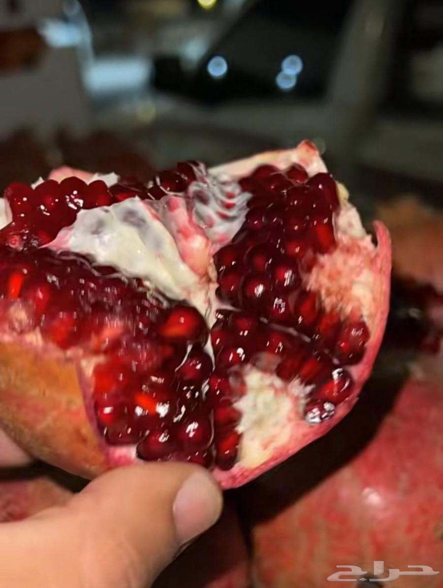 A small and large pomegranate, a sentence and a singularity64520628390273111