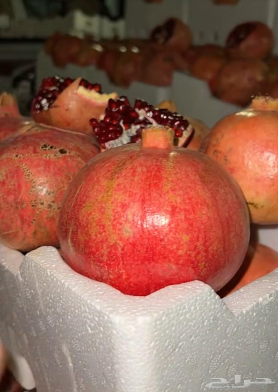 A small and large pomegranate, a sentence and a singularity64520628390273112