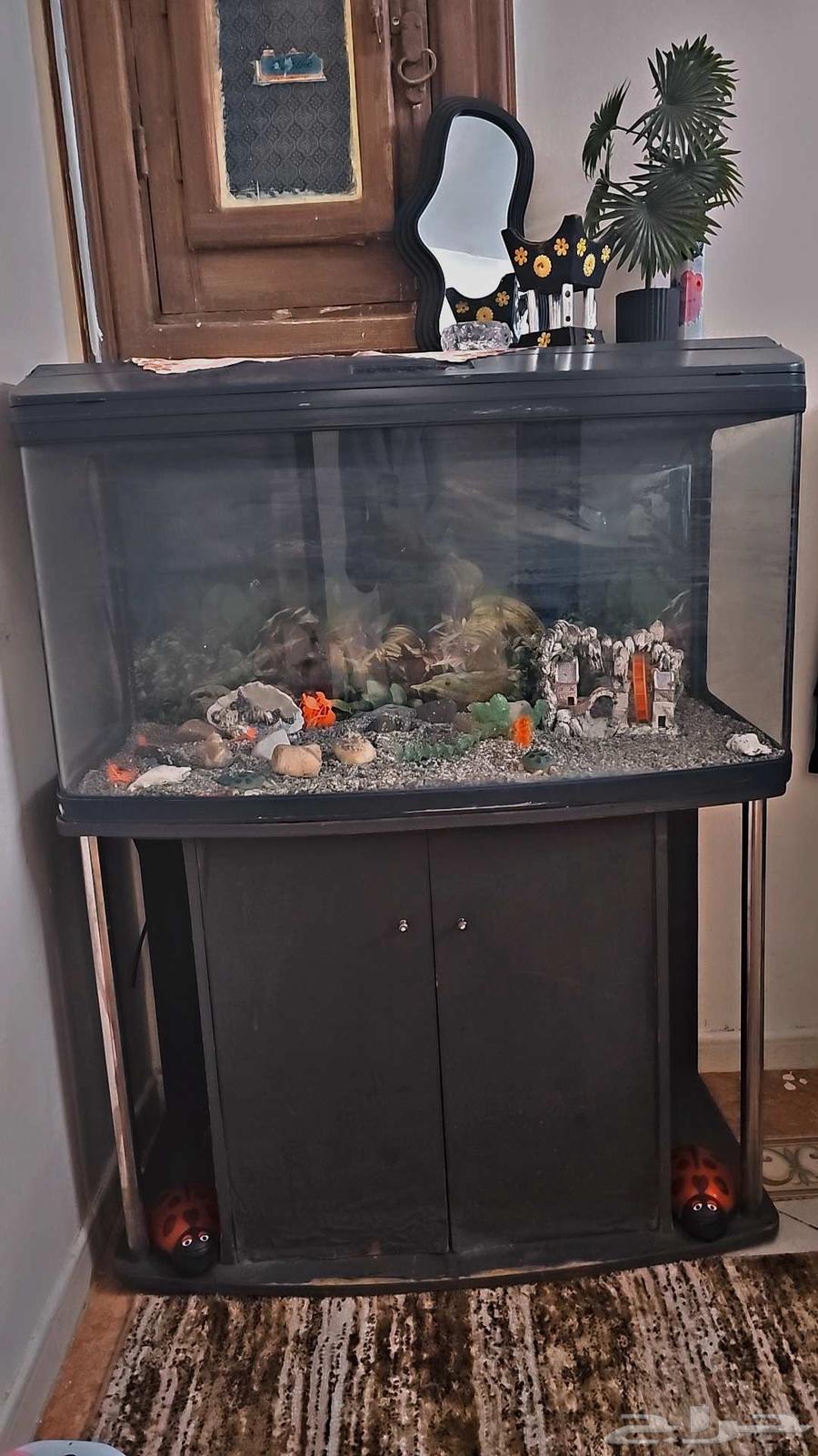 كنب للبيع64526036996609111