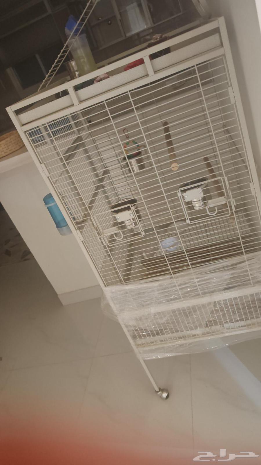 قفص طيور كبير64520275564801110