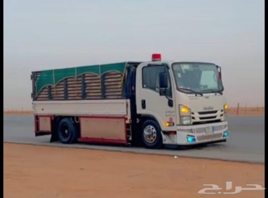 دينا شحن للنقل الداخليk64266016134914110