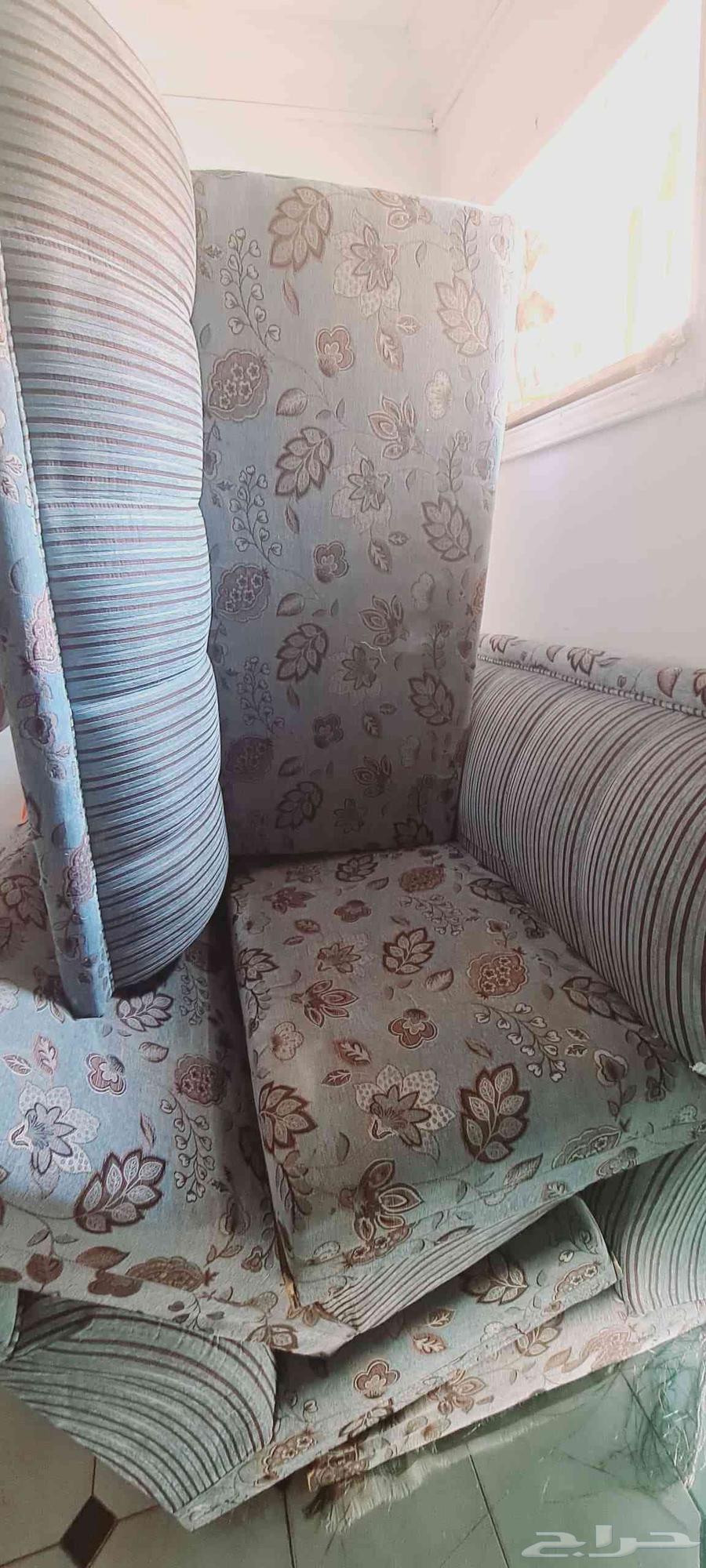 سبع كنب جديد با 200 ريال بس64525828780802111