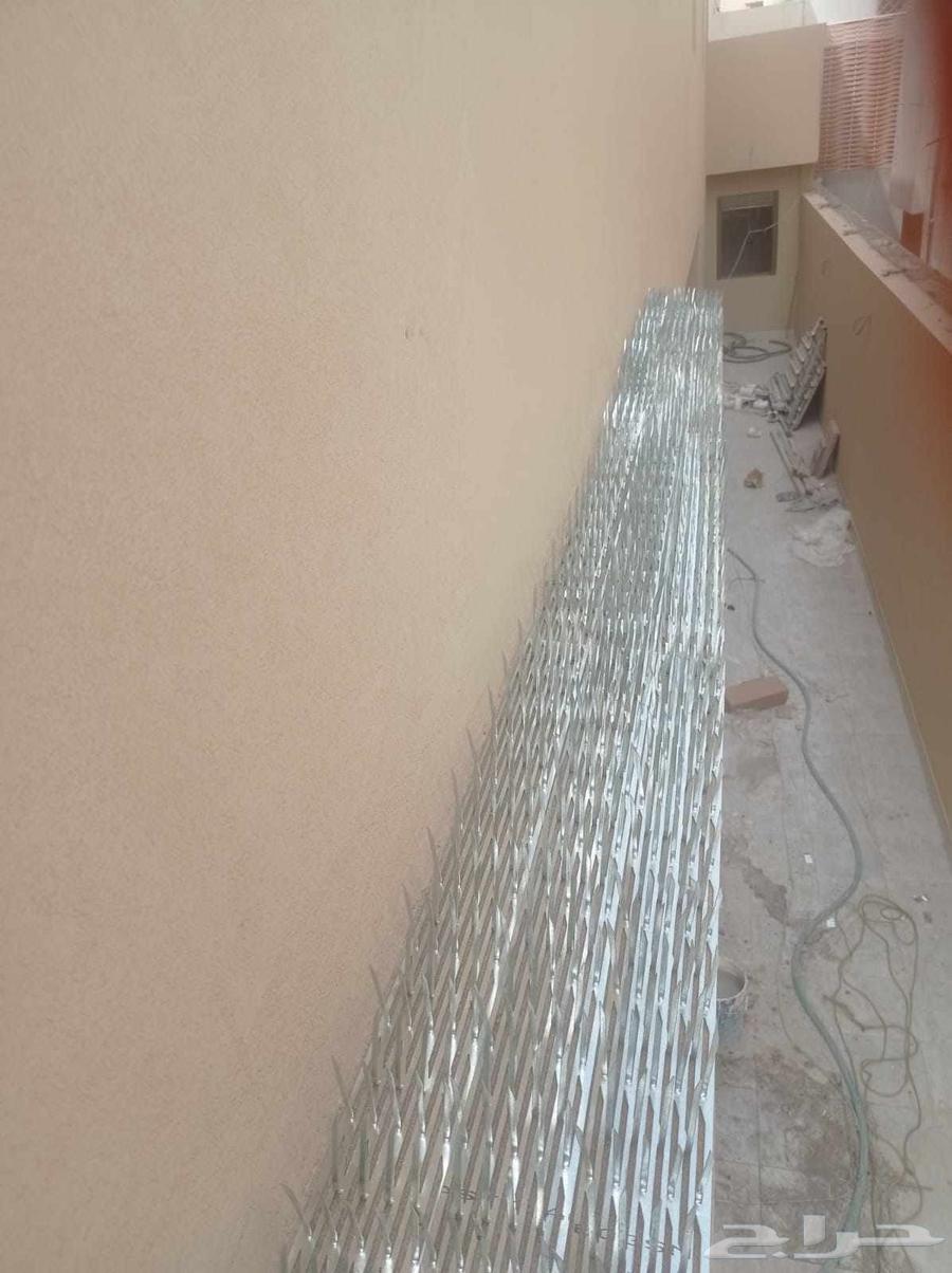 Pigeon Repeller in Jeddah, Installation and Sale of Pigeon Spikes and Nets64237605221249111