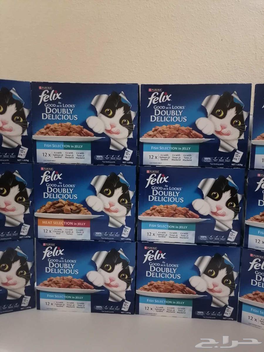 Felix Cat Food Brand new boxes64523047954434113