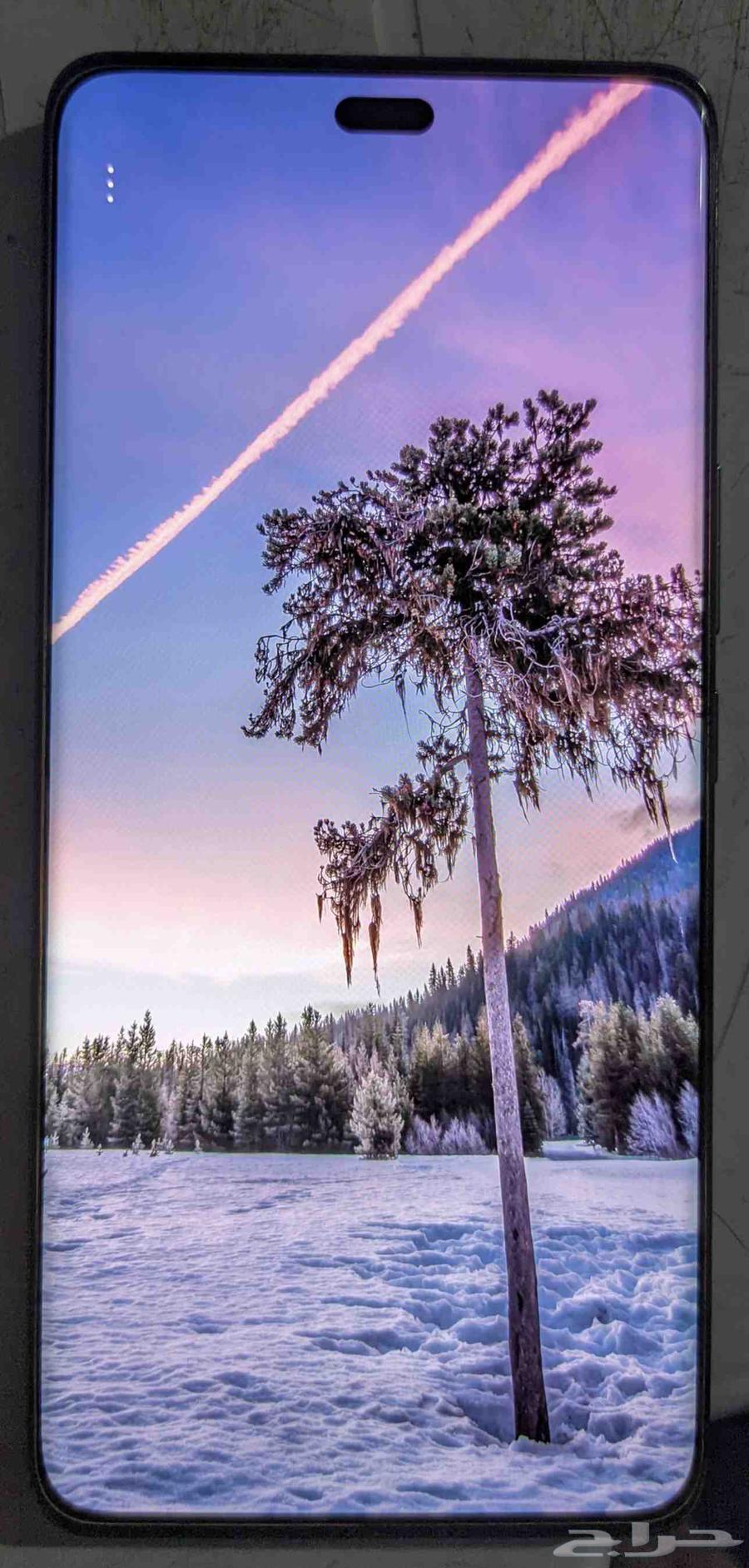 Honor x9c 256G R 12   1264525760357505110