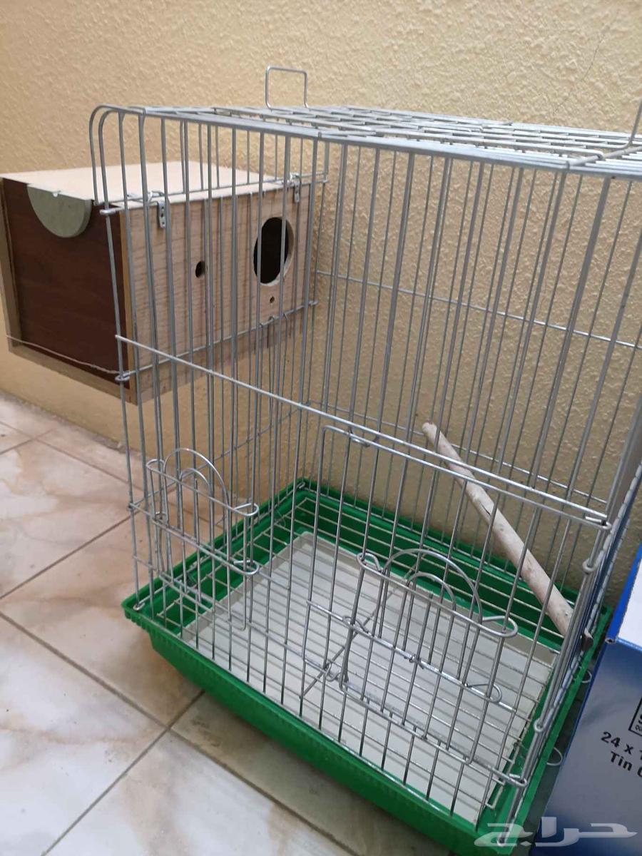 أقفاص شبه جديدة64523387241986114