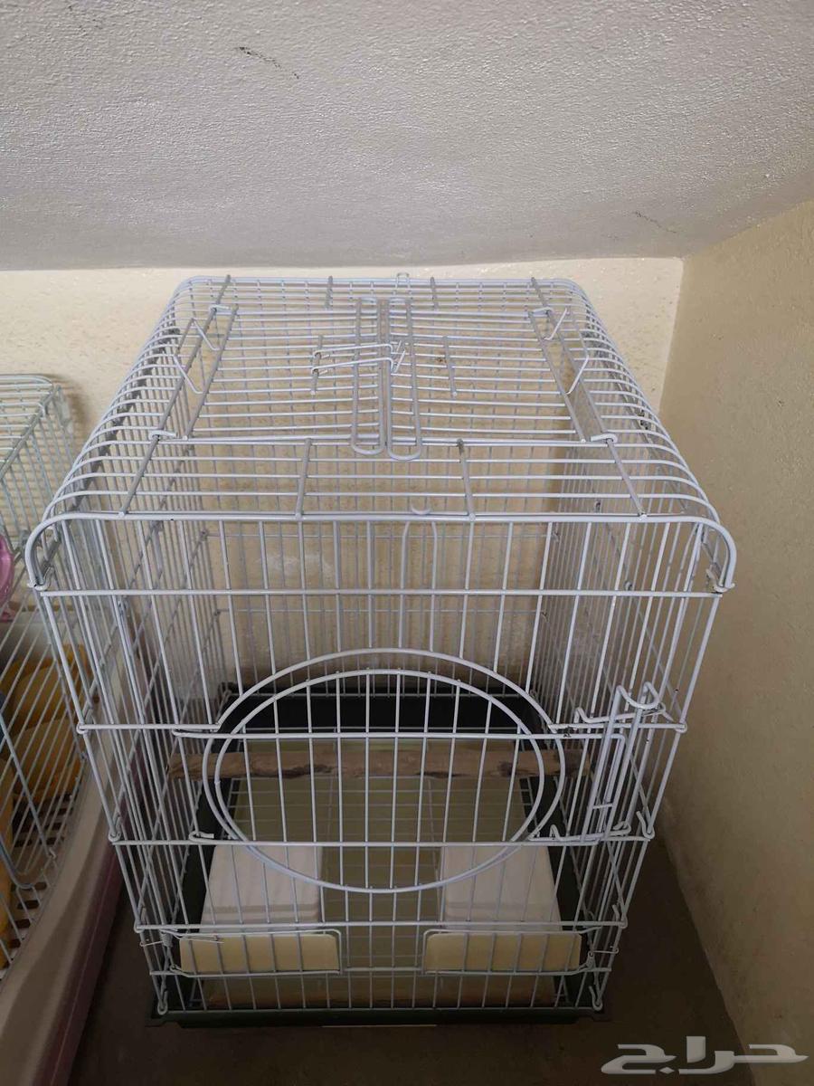 أقفاص شبه جديدة64523387241986111