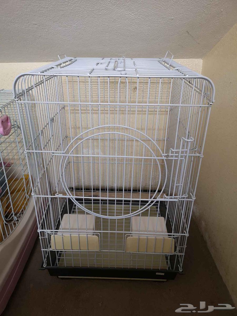 أقفاص شبه جديدة64523387241986110