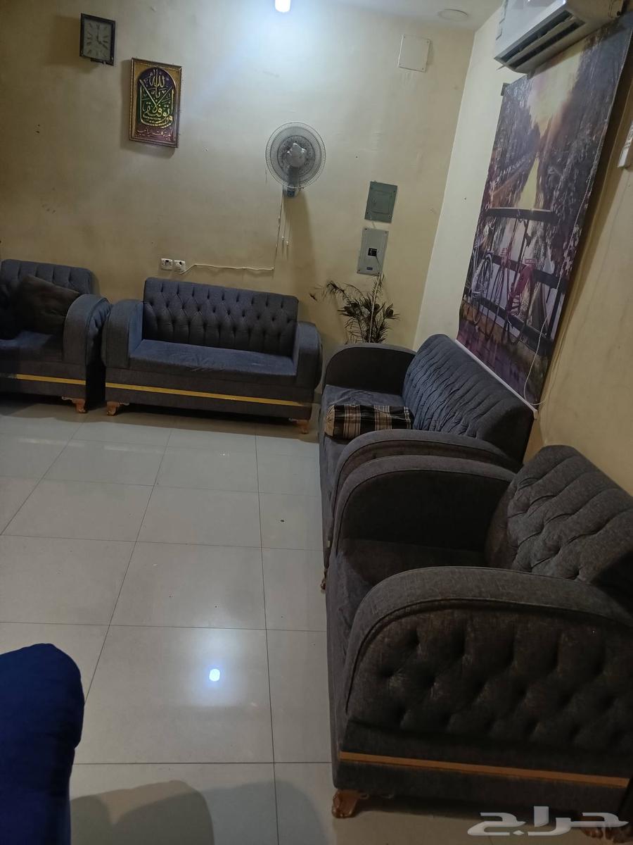 كنبتين (قطعتين)لون ازرق مبطن 180   فرن ابيض 25064523654741891111