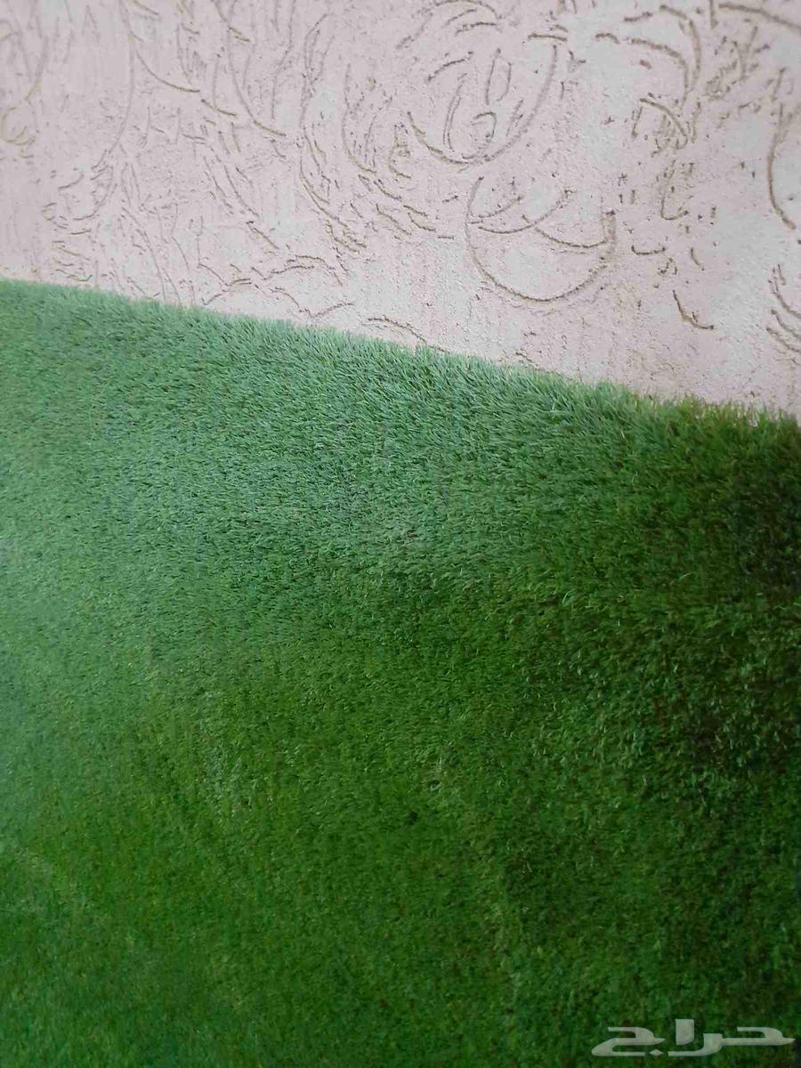 عشب صناعي نظيف جدا64524739890563112
