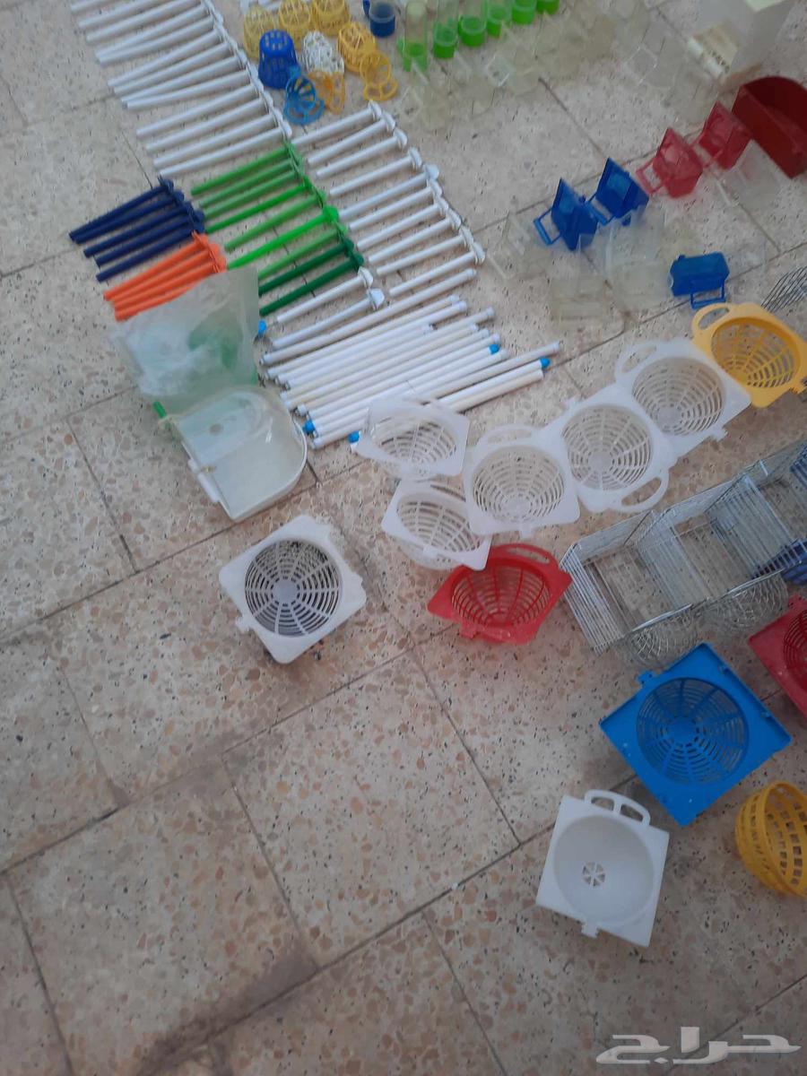 اقفاص ومسلتزمات طيور كناري مستعمل للبيع64520147539714111