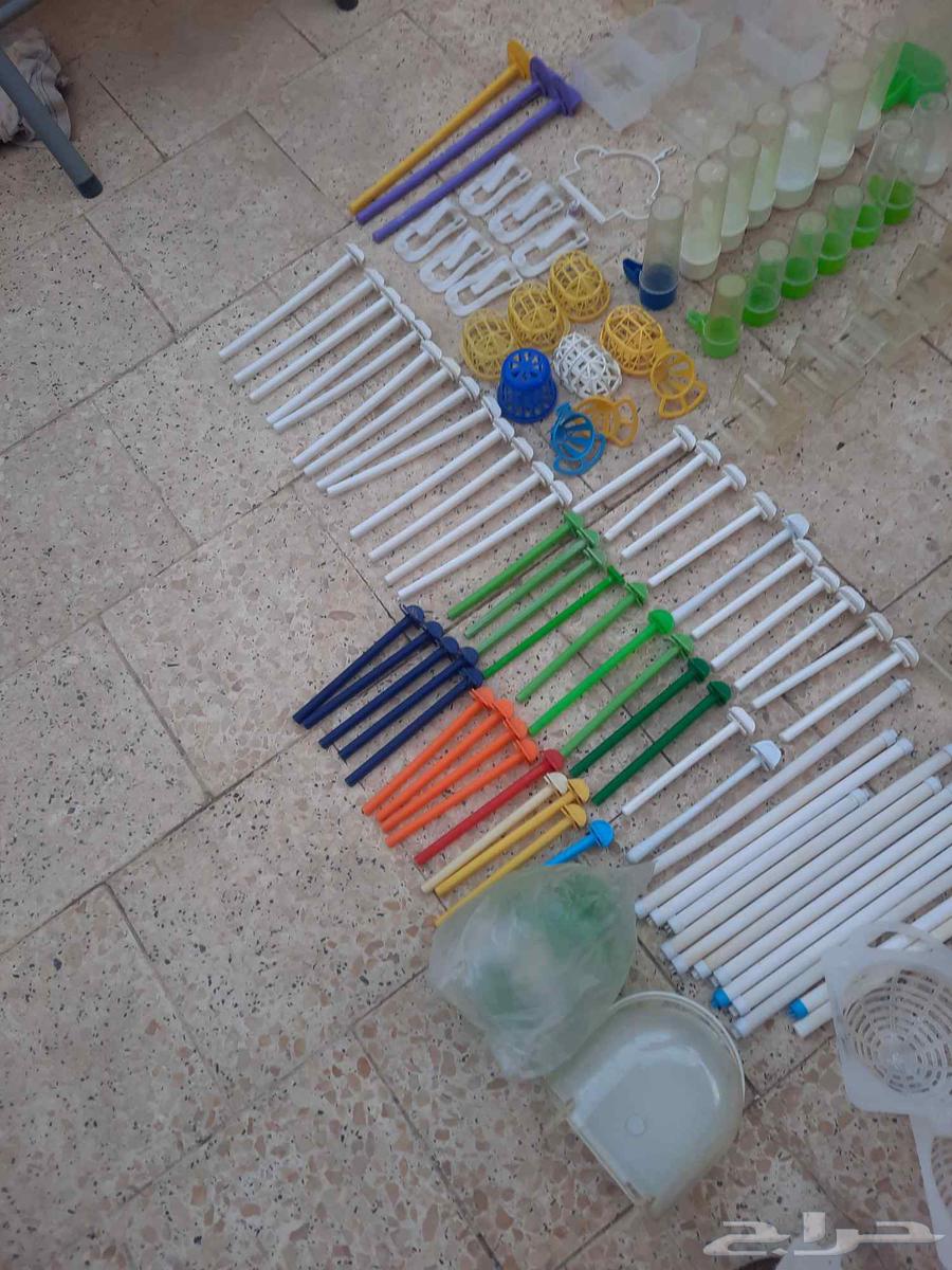 اقفاص ومسلتزمات طيور كناري مستعمل للبيع64520147539714114