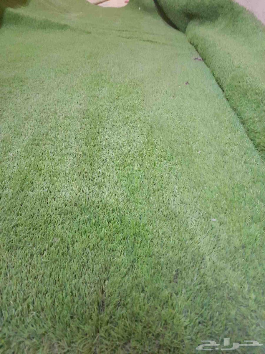 عشب صناعي نظيف جدا64524739890563110