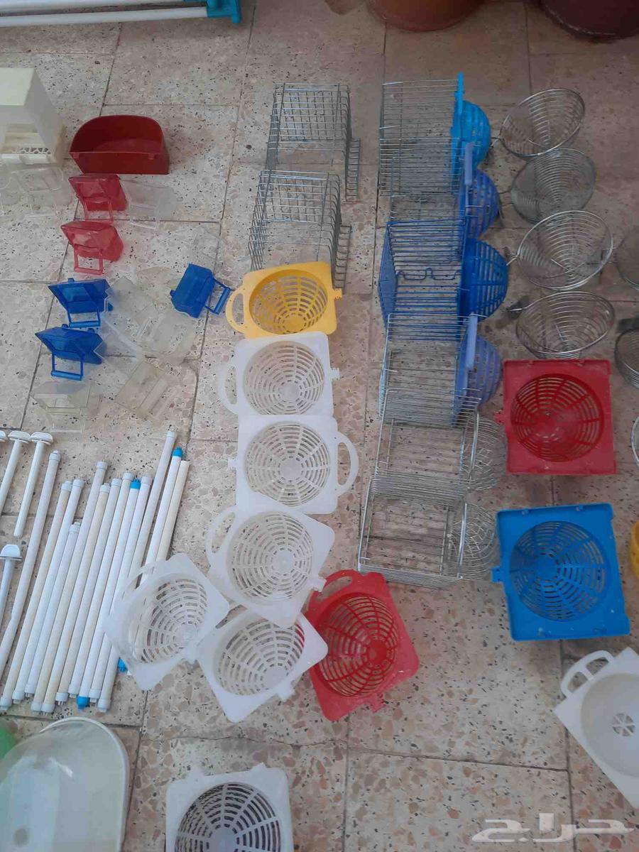 اقفاص ومسلتزمات طيور كناري مستعمل للبيع64520147539714113
