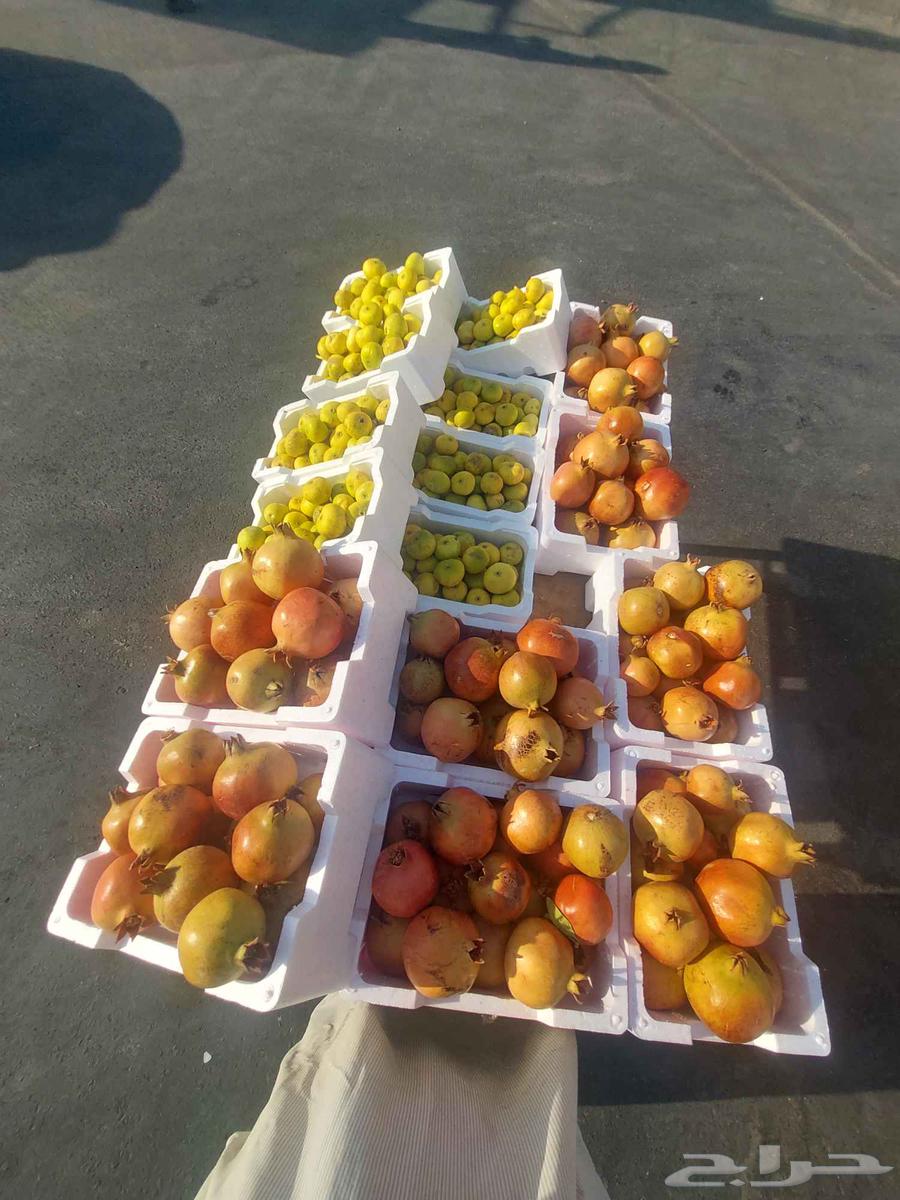 رمان سكر طيب وتين سكر64523458228995111