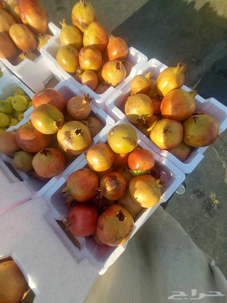 رمان سكر طيب وتين سكر64523458228995113