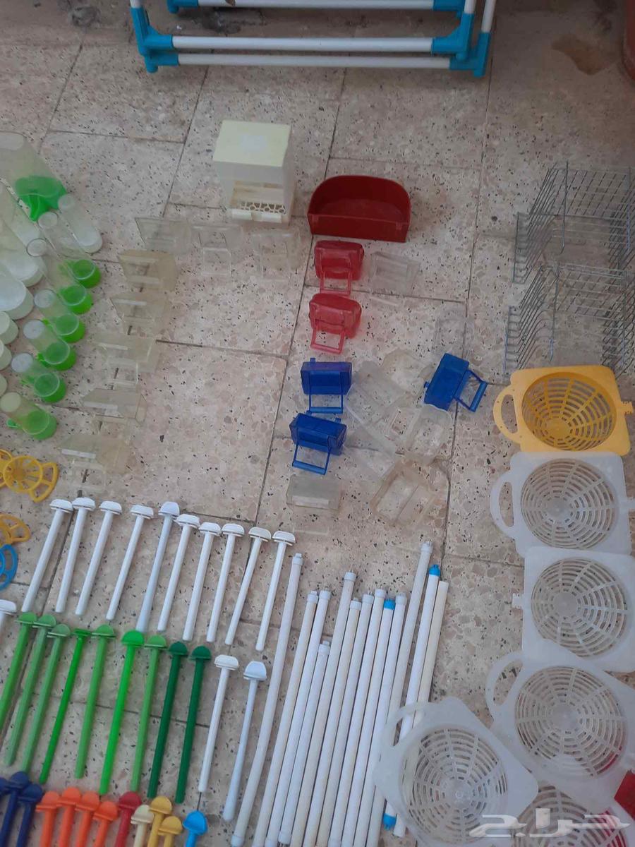 اقفاص ومسلتزمات طيور كناري مستعمل للبيع64520147539714112