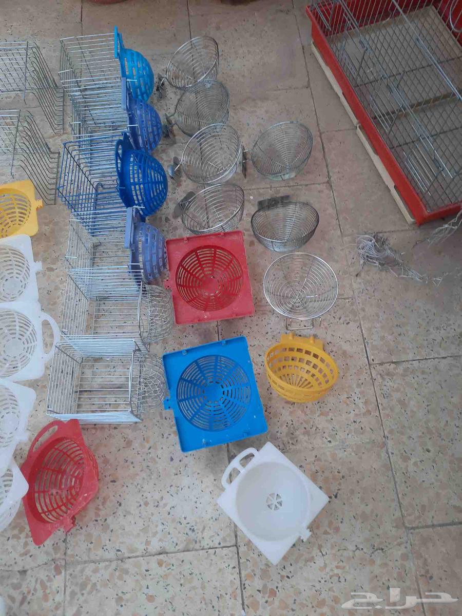 اقفاص ومسلتزمات طيور كناري مستعمل للبيع64520147539714110