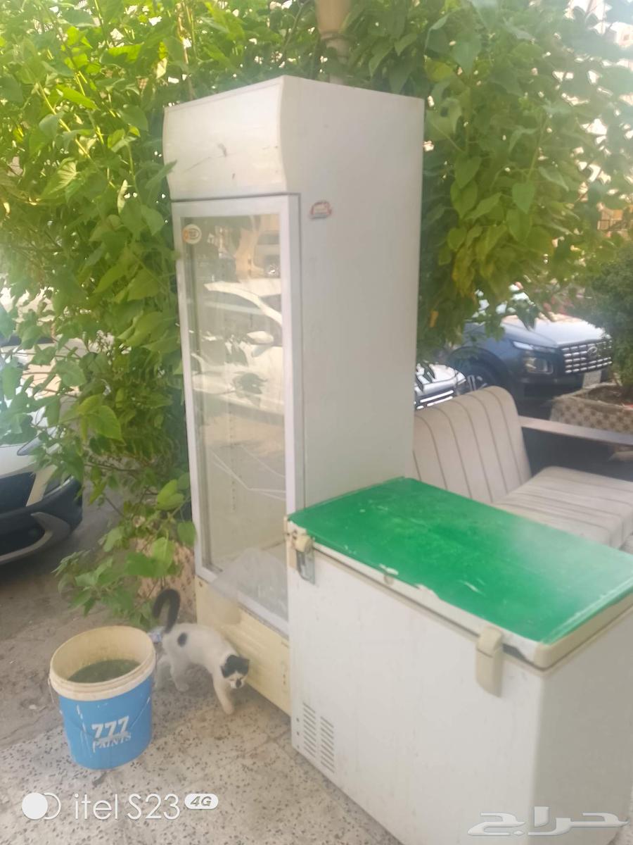 ثلاجة عرض وفريزر مستعمبلات للبيع64522245465217114