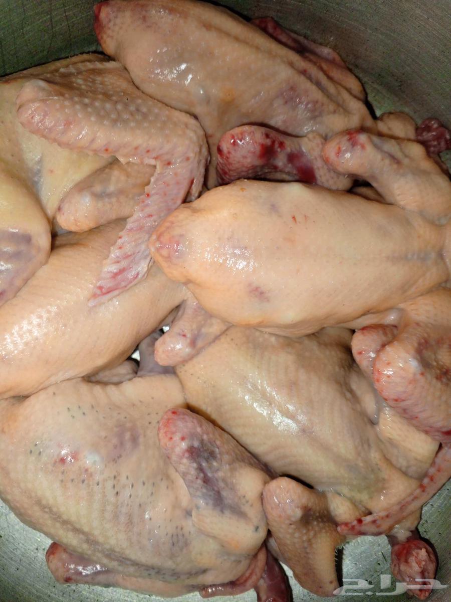 For sale meat chickens, ducks, well-fed and clean64521283079171112