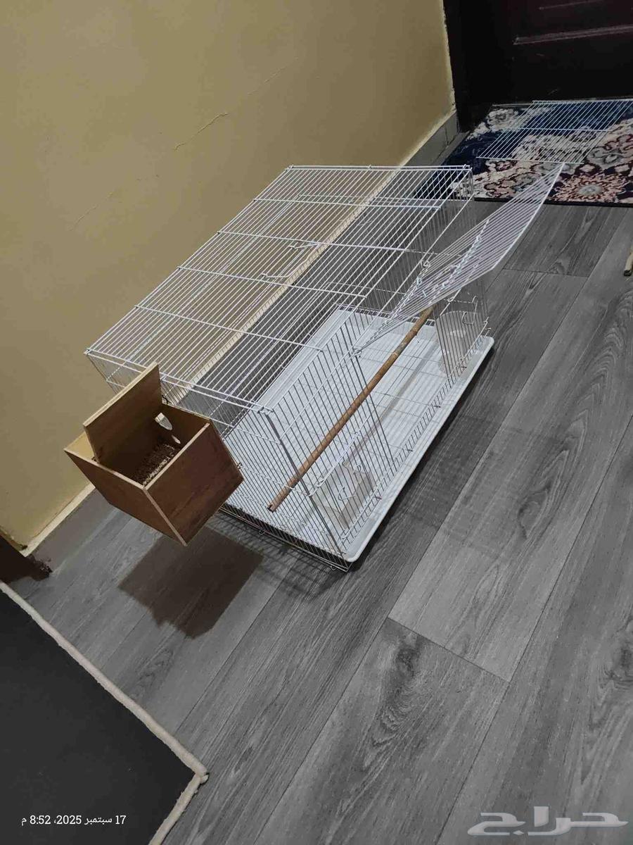 قفص كبير مع البياضة64525704807938113