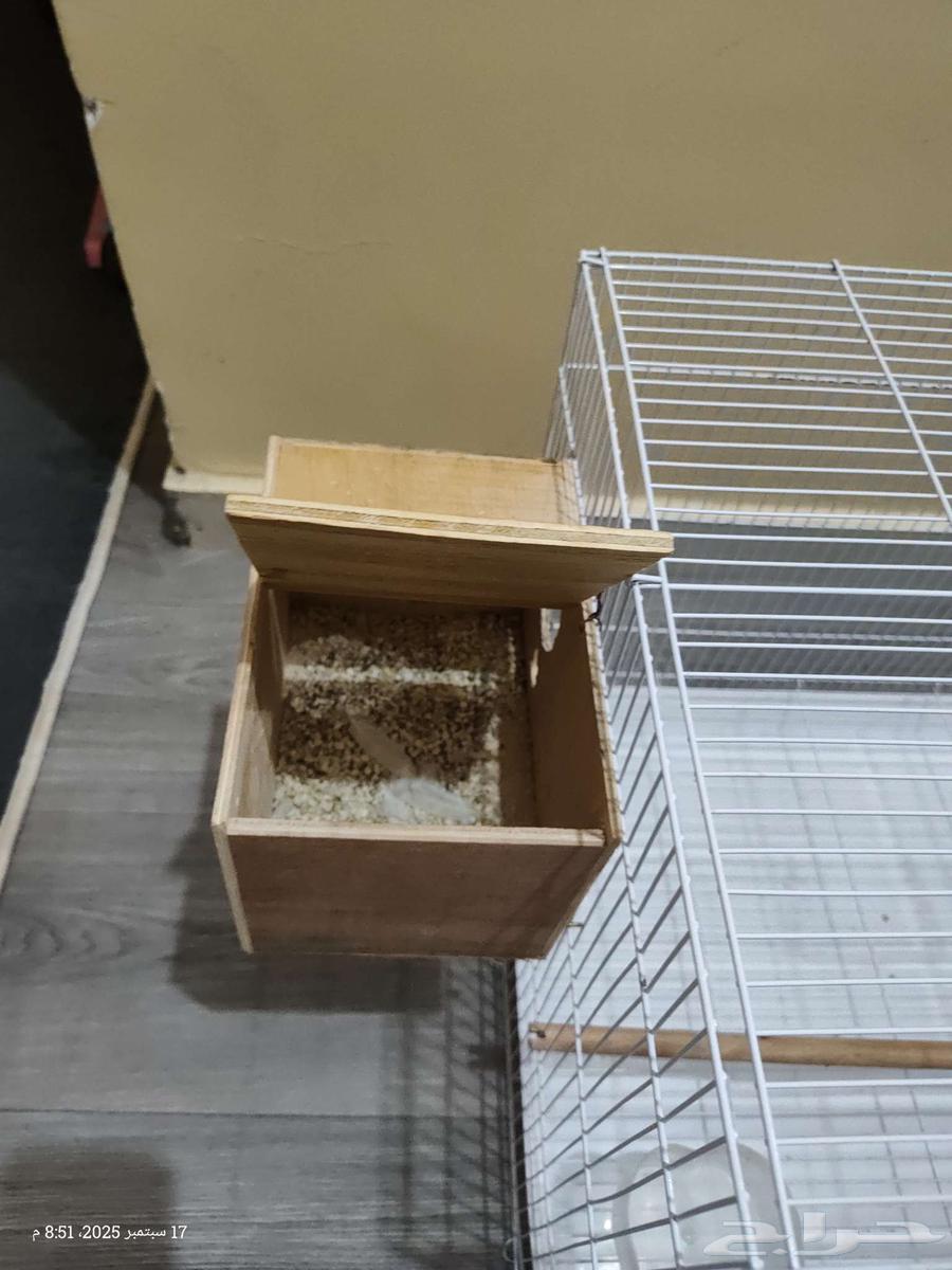قفص كبير مع البياضة64525704807938112