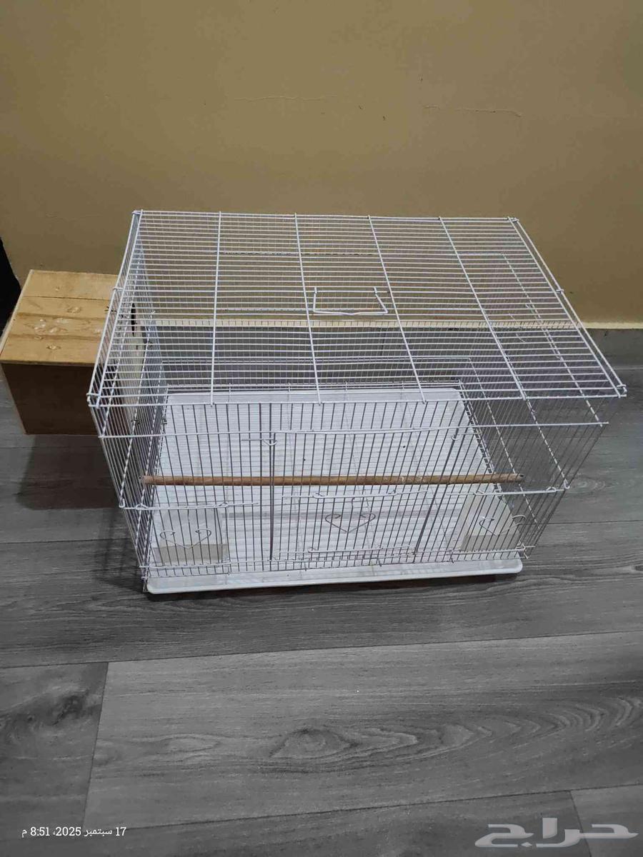 قفص كبير مع البياضة64525704807938110