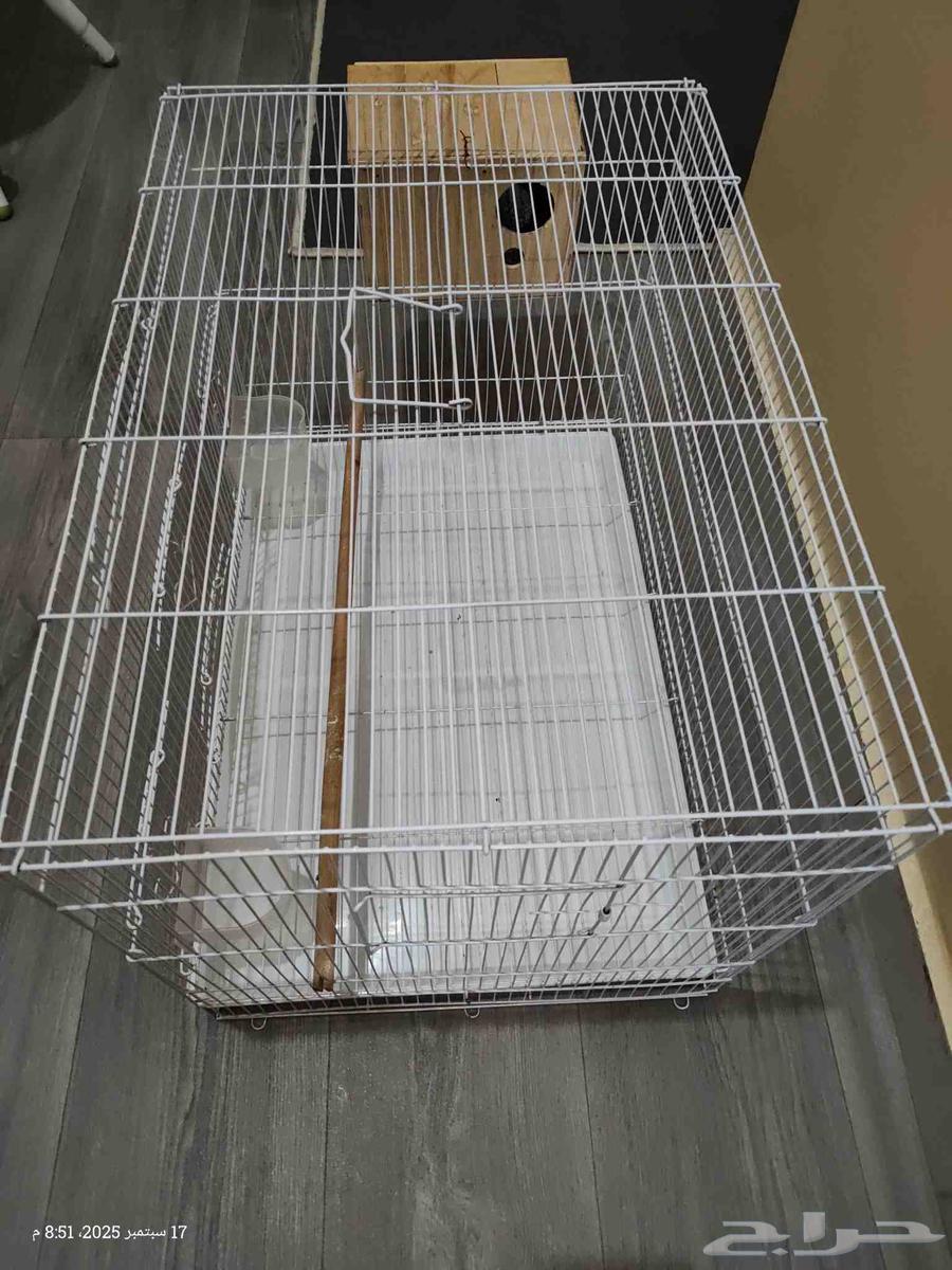 قفص كبير مع البياضة64525704807938111