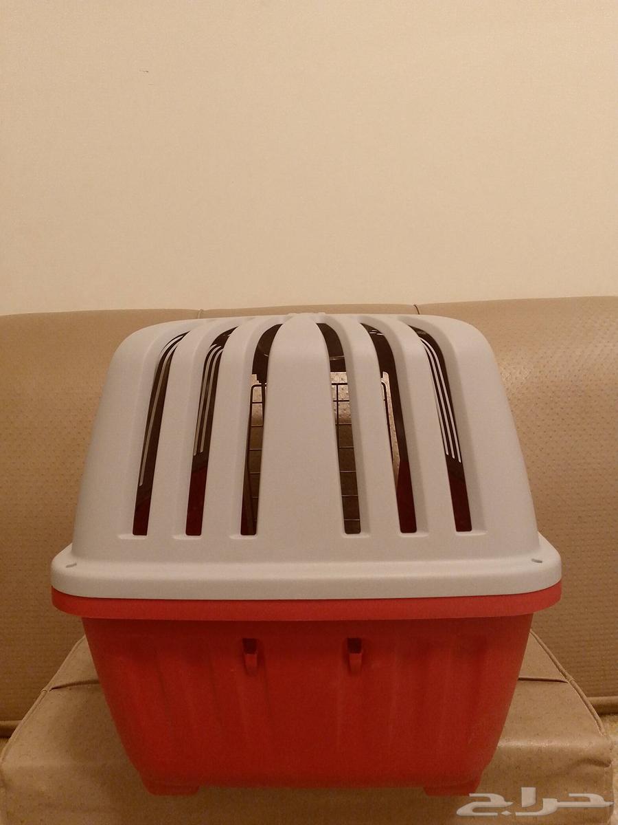 Cat Net64521878926594111