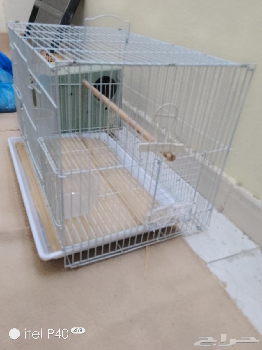 قفصان طيور للبيع64519807964418111