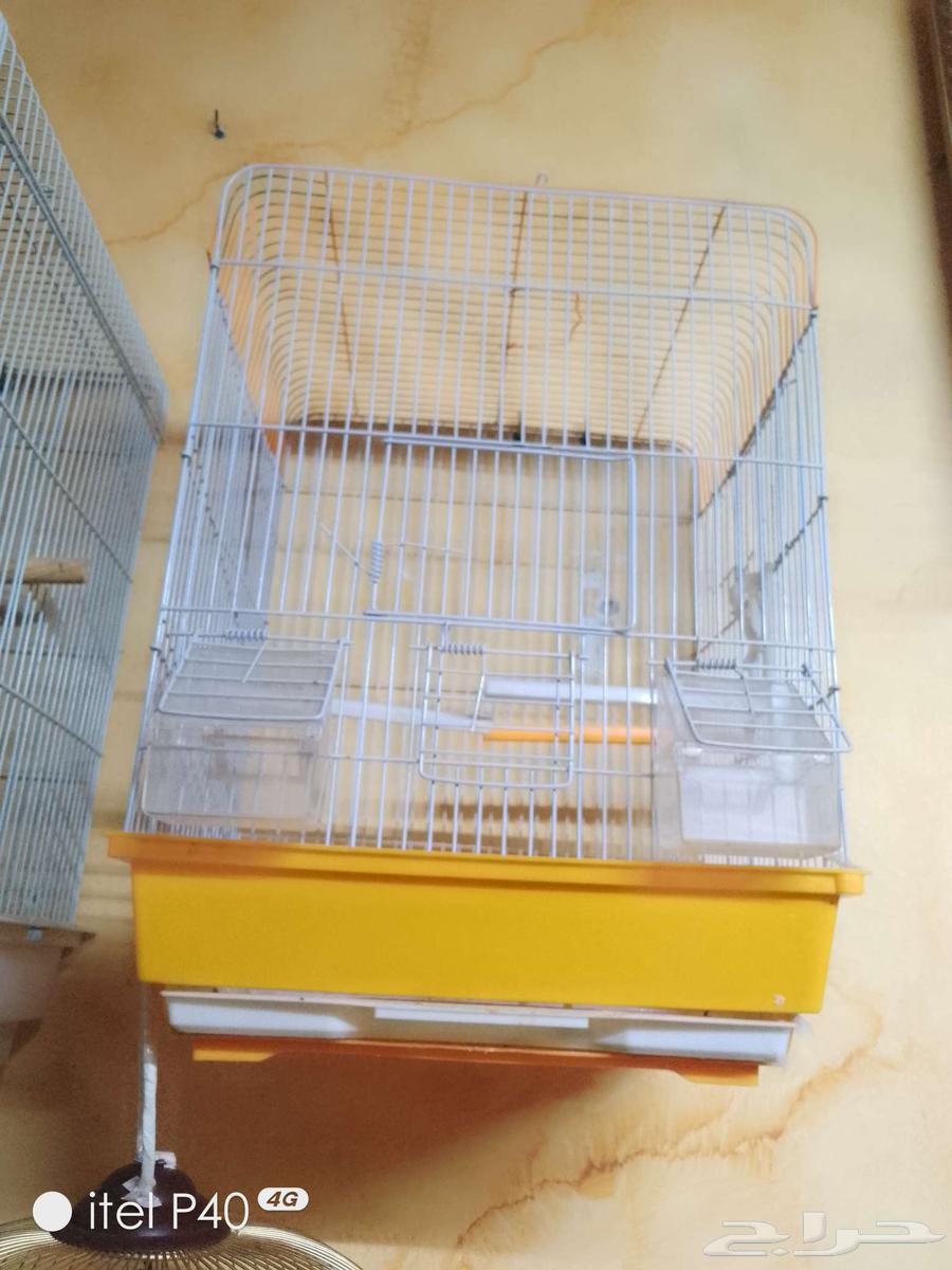 قفصان طيور للبيع64519807964418112