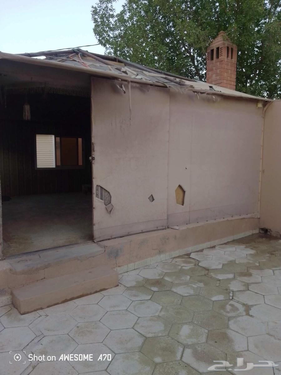 خيمه للبيع64524130372482110