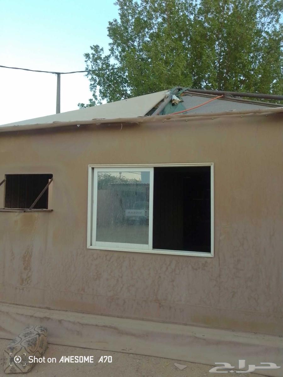 خيمه للبيع64524130372482112