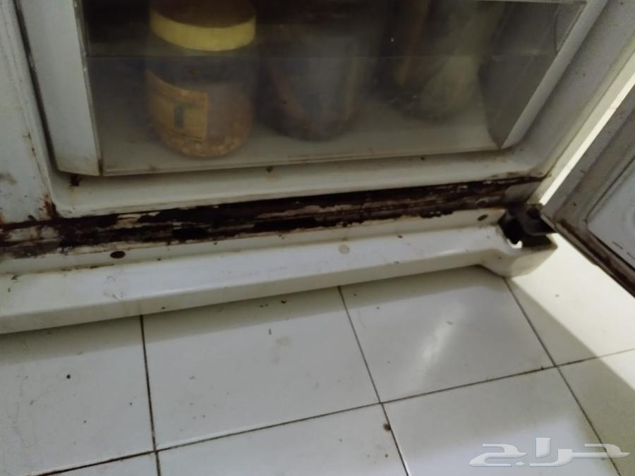 جده شارع الاربعين بني مالك64525037554049112