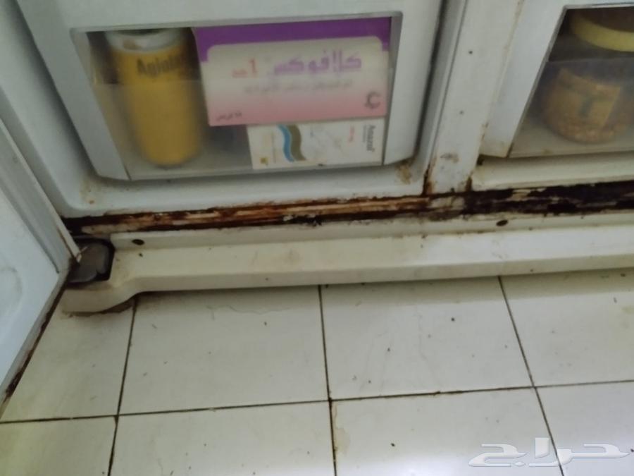 جده شارع الاربعين بني مالك64525037554049111