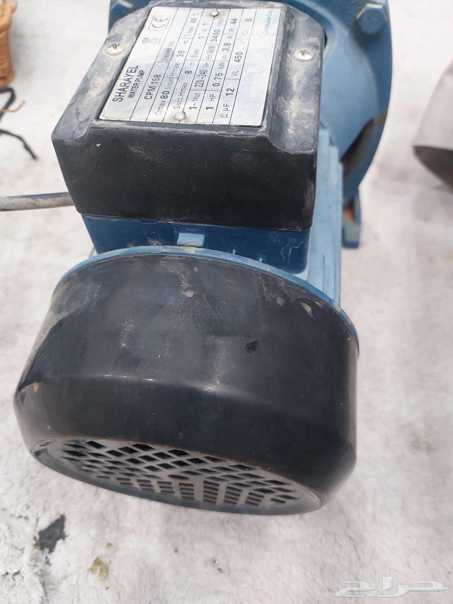 Denmo 1 HP with Timer64524990332673113