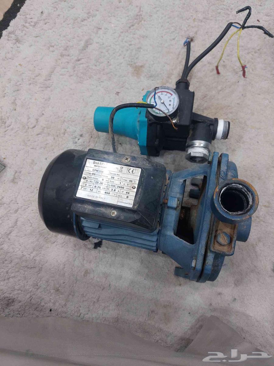 Denmo 1 HP with Timer64524990332673110