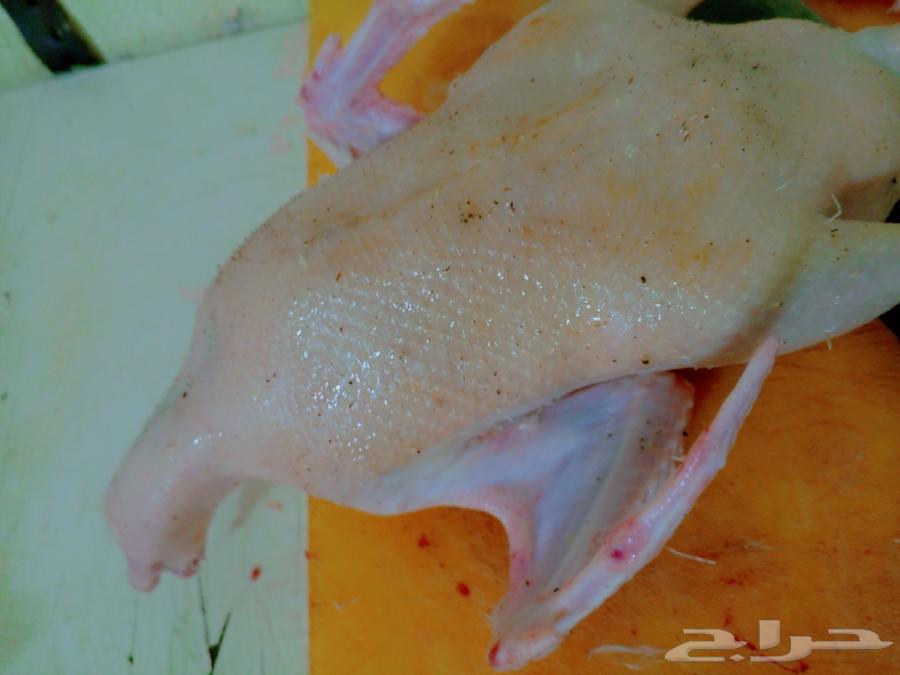 For sale meat chickens, ducks, well-fed and clean64521283079171110