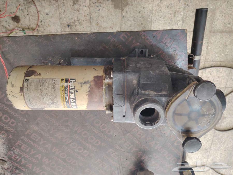 مضخة مسبح واحد ونص حصان هاى ورد64521991472769111