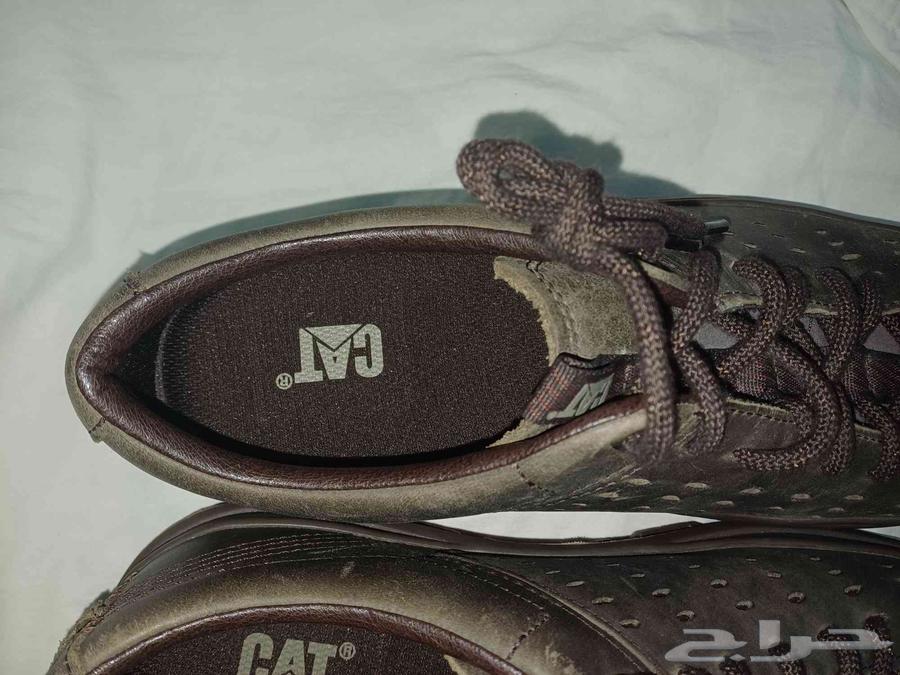 حذاء للهيقنق من شركة CAT المعروفة64521482744066111