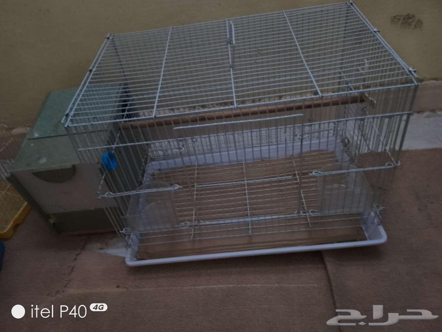 قفصان طيور للبيع64519807964418110