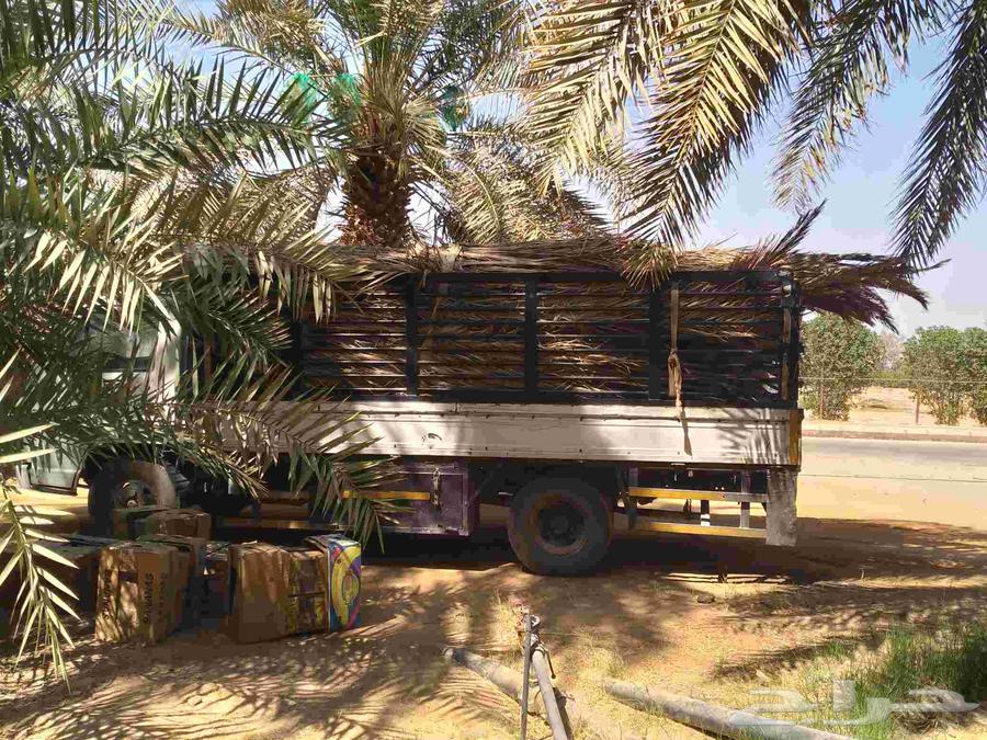 Fresh palm fronds for awnings, fences, shades, and canopies64526231432065110