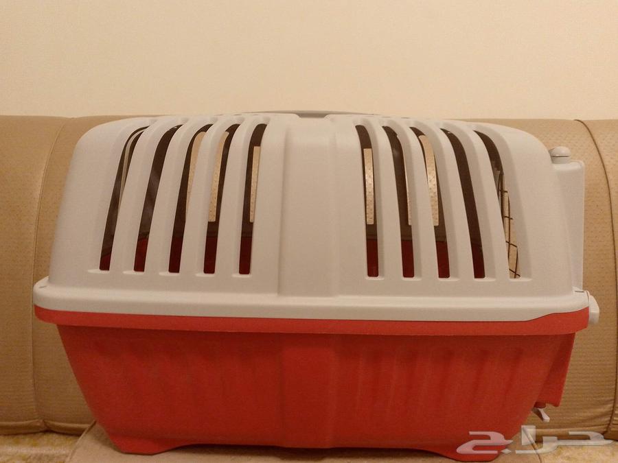 Cat Net64521878926594112