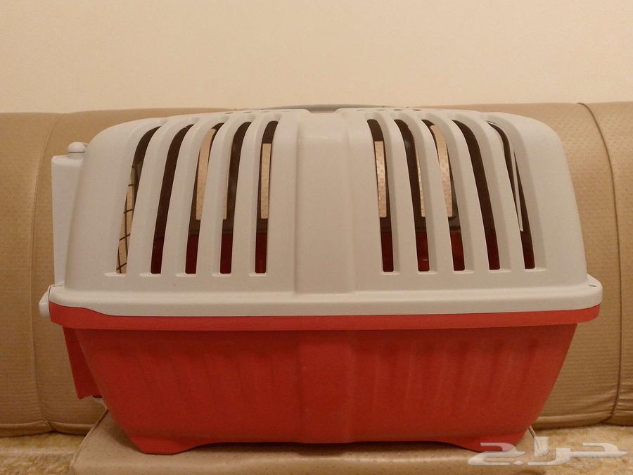 Cat Net64521878926594110