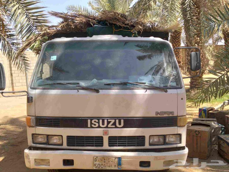 Fresh palm fronds for awnings, fences, shades, and canopies64526231432065114