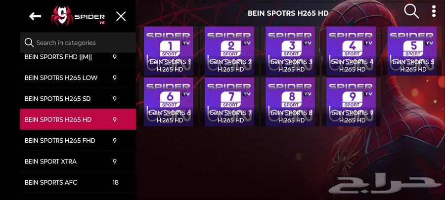 اقوى عروض اليوم الوطنى64526828987137114