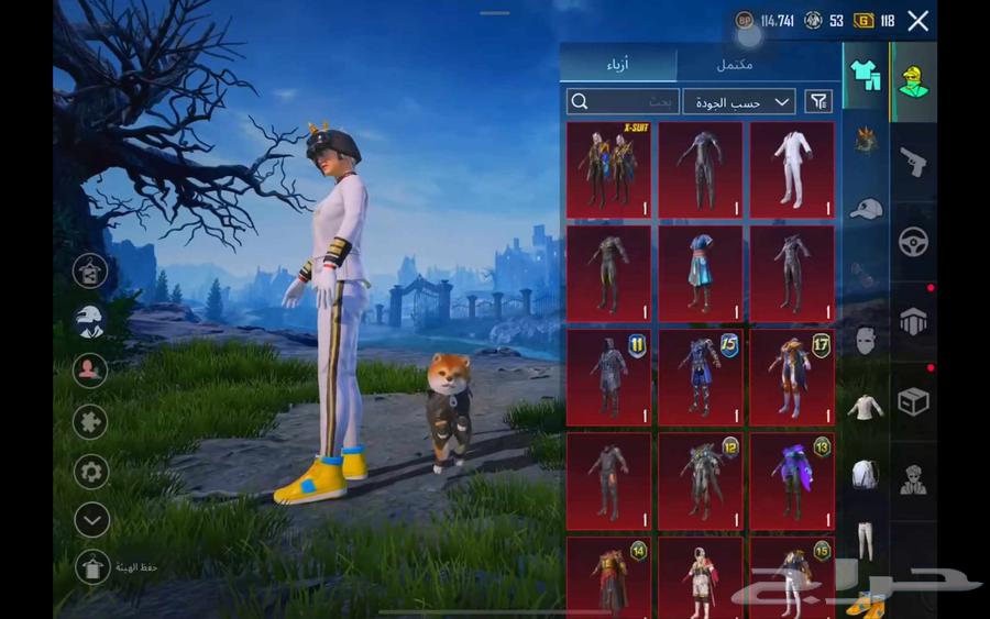 حساب ببجي للبيع64520147501954111