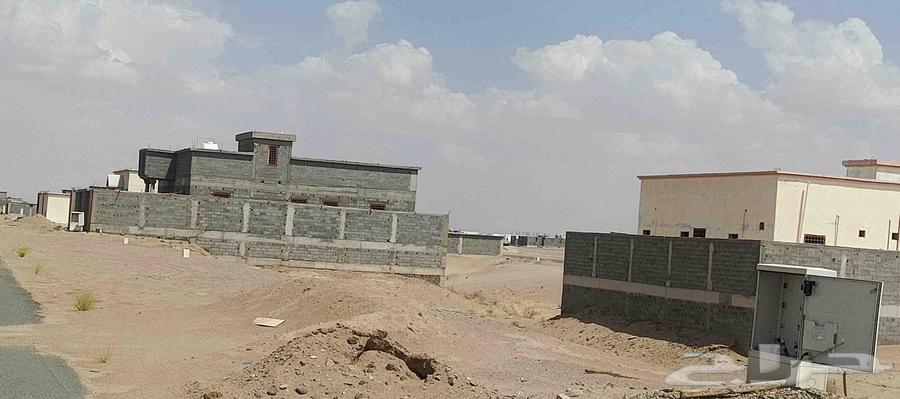 General contracting and real estate development64414713199875113