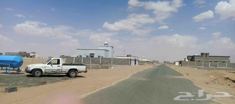 General contracting and real estate development64414713199875114